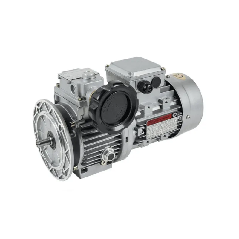 Chiaravalli-CHV 02 PAM63 speed variator Chiaravalli