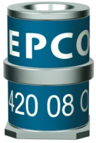 EPCOS-B88069X2670T902